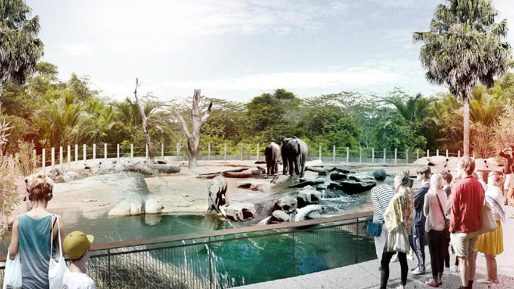 رساله کامل طراحی باغ وحش 
